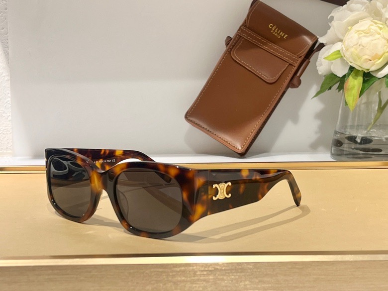 Celine Glasses smx (1254)